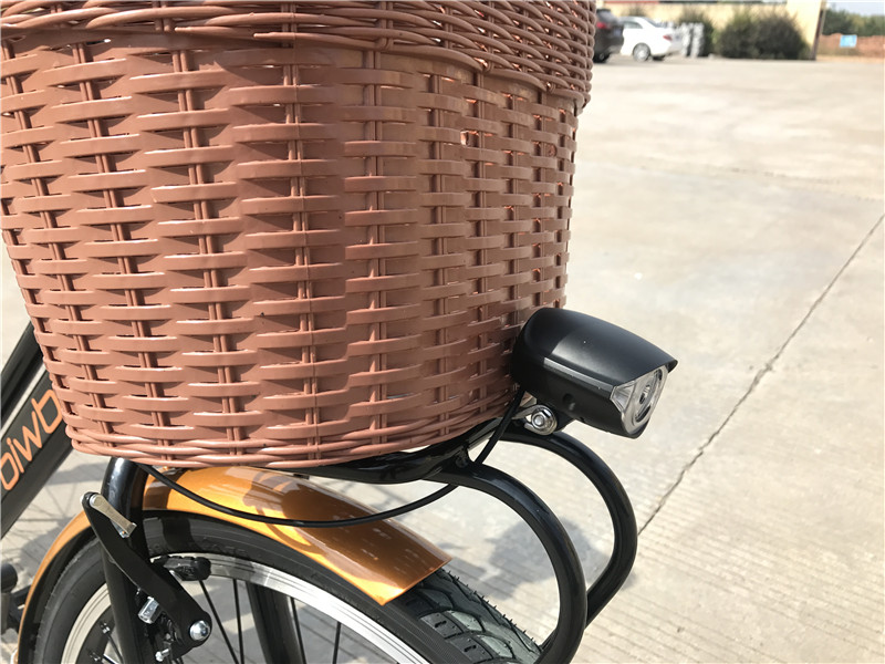 36V 250W Electric Folding Bike 26 Inch With 10AH Lithium Battery