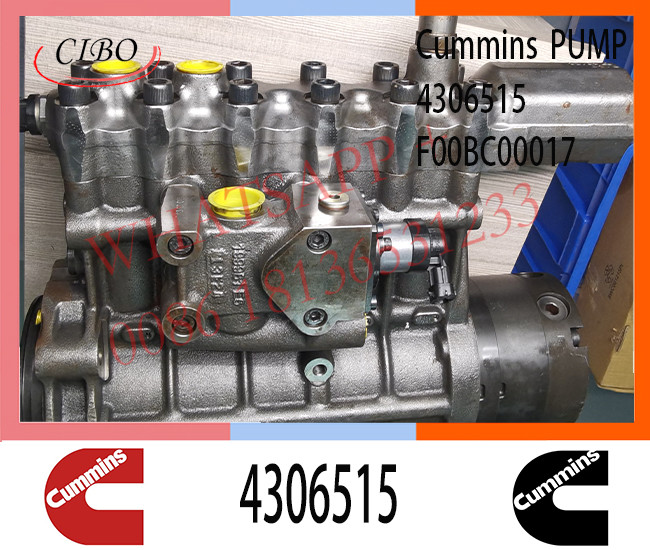 4306515 QSK60 Engine Injection Pump 2881172 2888798 3972815 5264246