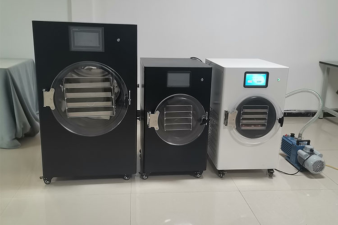 4Kg 6Kg Home Stay Fresh Freeze Dryer Electric Heating