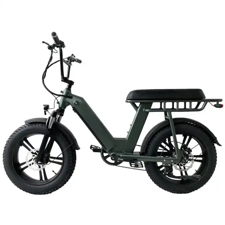 2 Wheel Electric Fat Tire Bike 48V 500W Aluminum Alloy 20 Inch Fat Tyre Electric Bike
