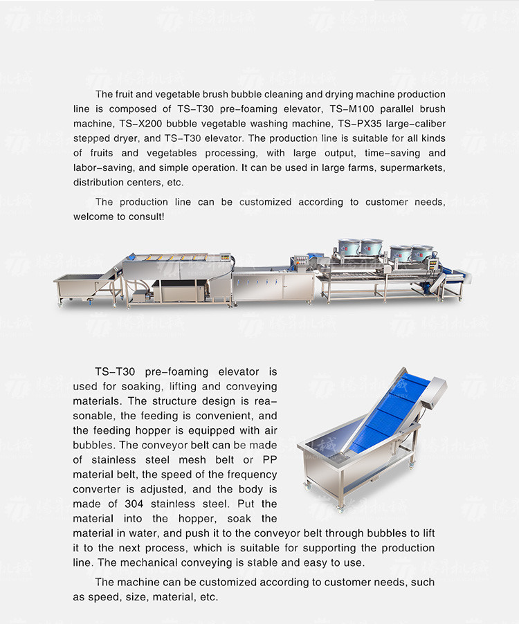 Kiwi Carrot Taro Vegetable Brush Bubble Cleaning Machine 2.5KW