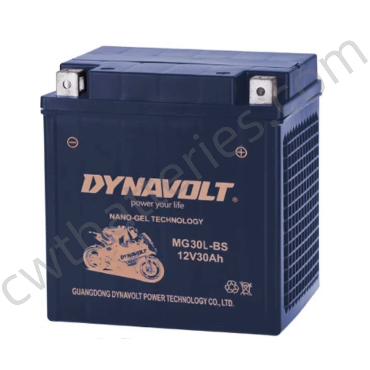 12V 30Ah Recreational Vehicle Batteries 125CC Four Wheeler Battery DYNAVOLT MG30L-BS-C