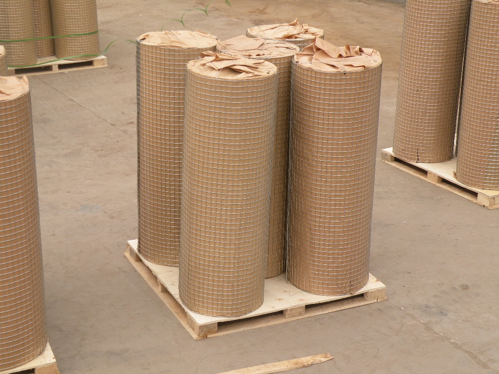 1/2 Inch Square Hole Pvc Coated Welded Wire Mesh For Agriculture