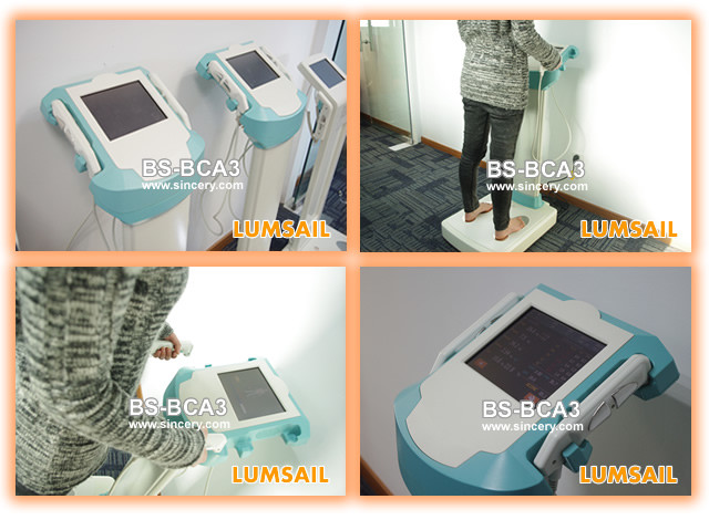 Body Fat Percentage Calculator Machine