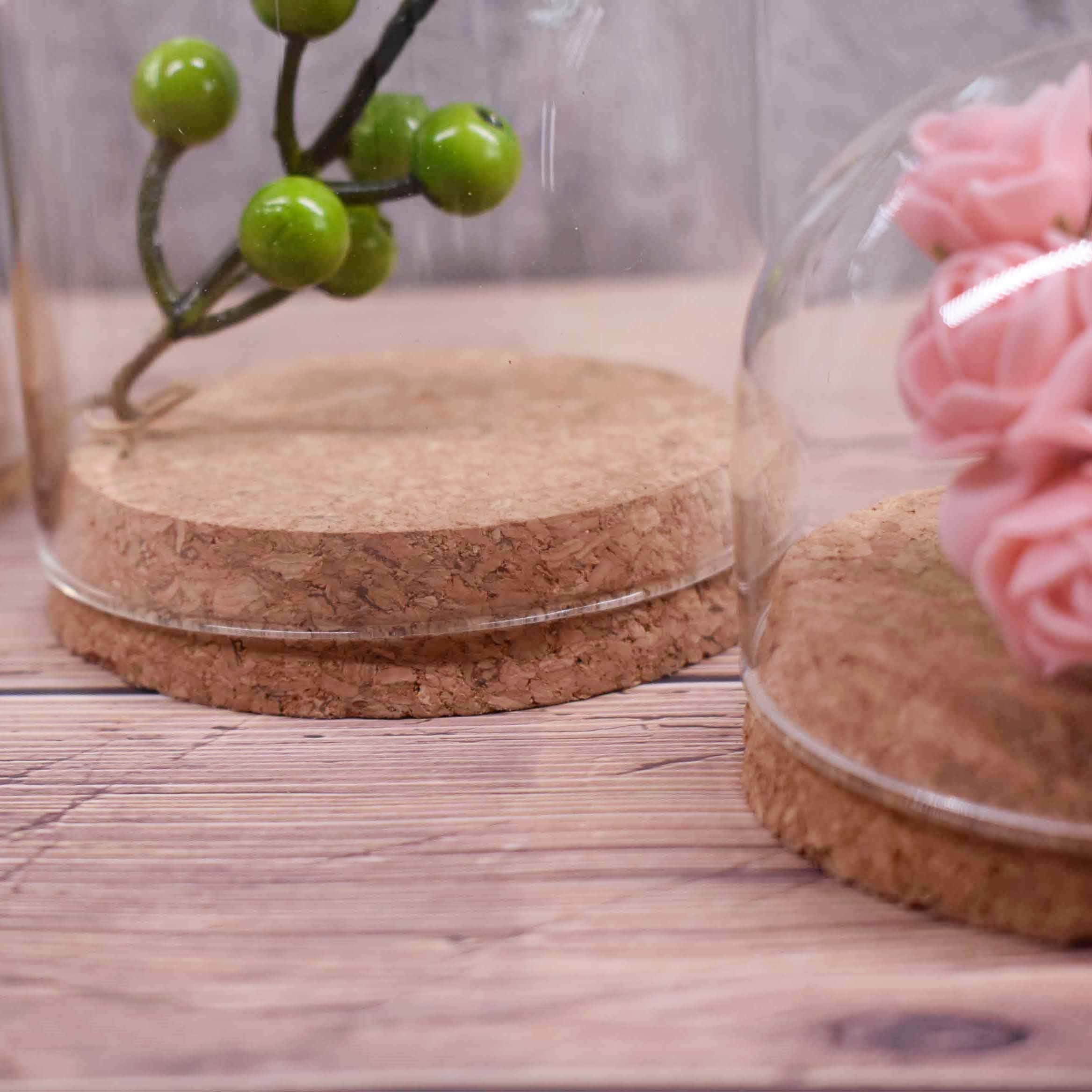 ISO9001 Small Borosilicate Glass Dome Cork Base Eco Friendly