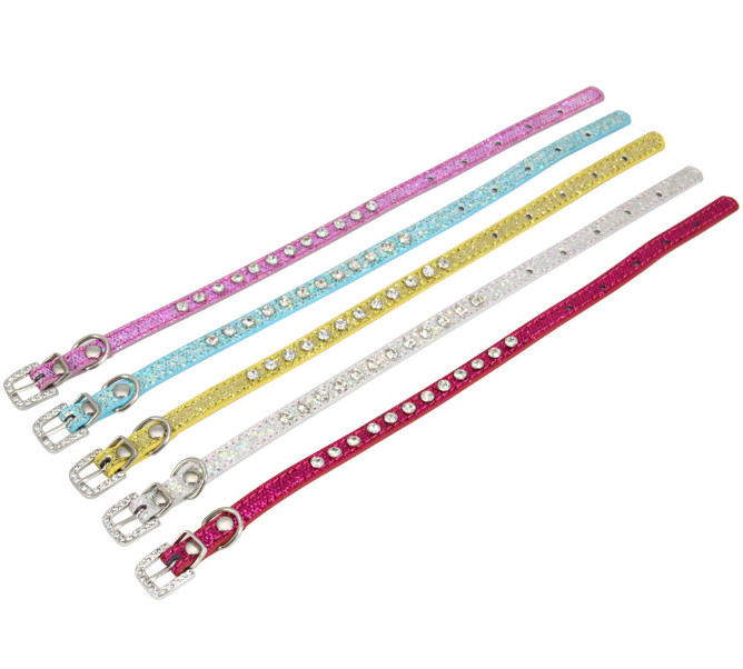 xs kitten collar