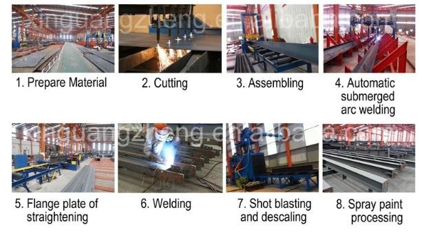 Professional Design Prefab Steel Structure Chicken Farm Equipment House