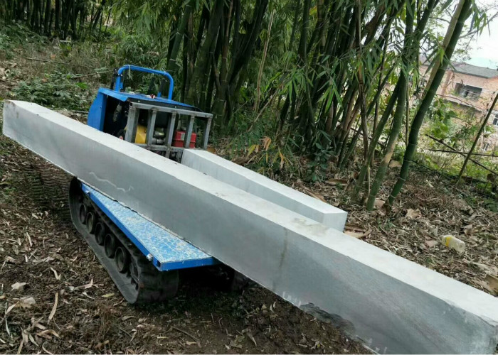 ZM300B 300KG Crawler Small Tracked Dumpers