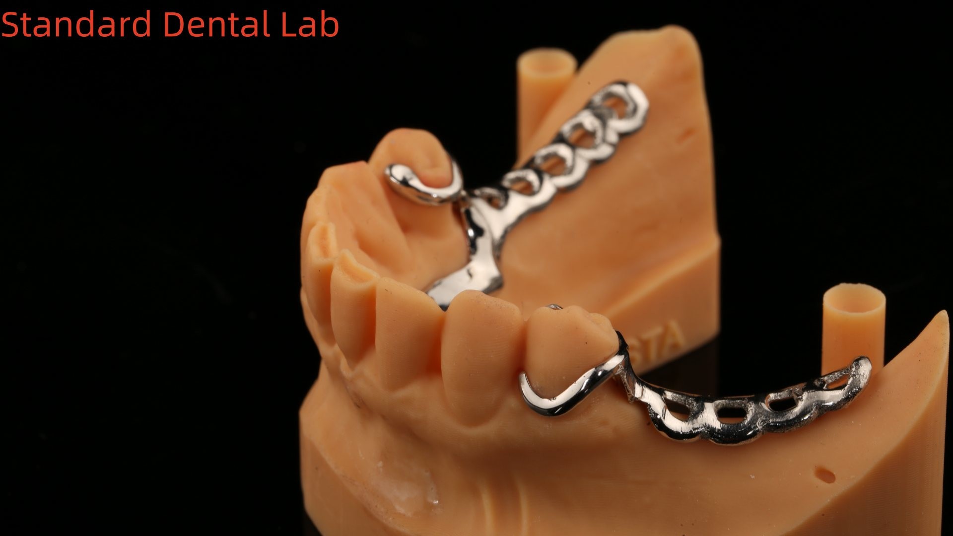 Metal Alloys Partial Cobalt Chrome Dentures Ivoclar Scheftner Comfortable China Dental Lab