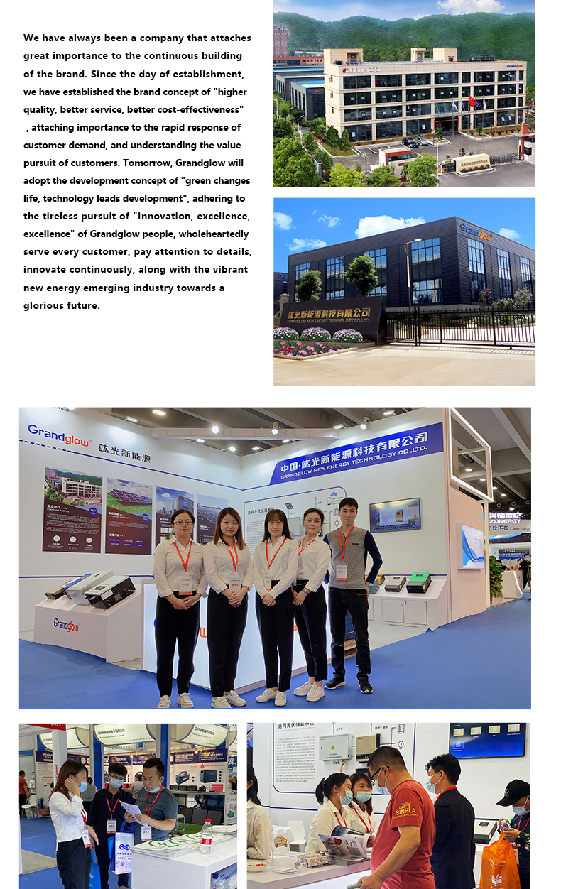 5KW Solar Energy Power Inverter Off Grid Pure Sine Wave Inverter With AC Charger