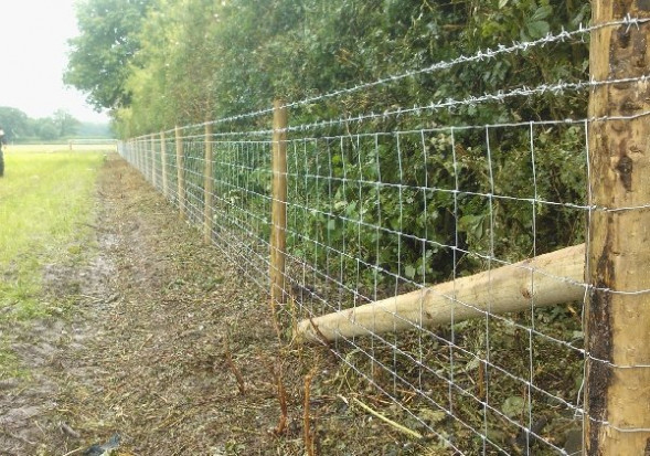 Electric Galvanized Iron Wire Cattle Mesh Fencing For Livestock