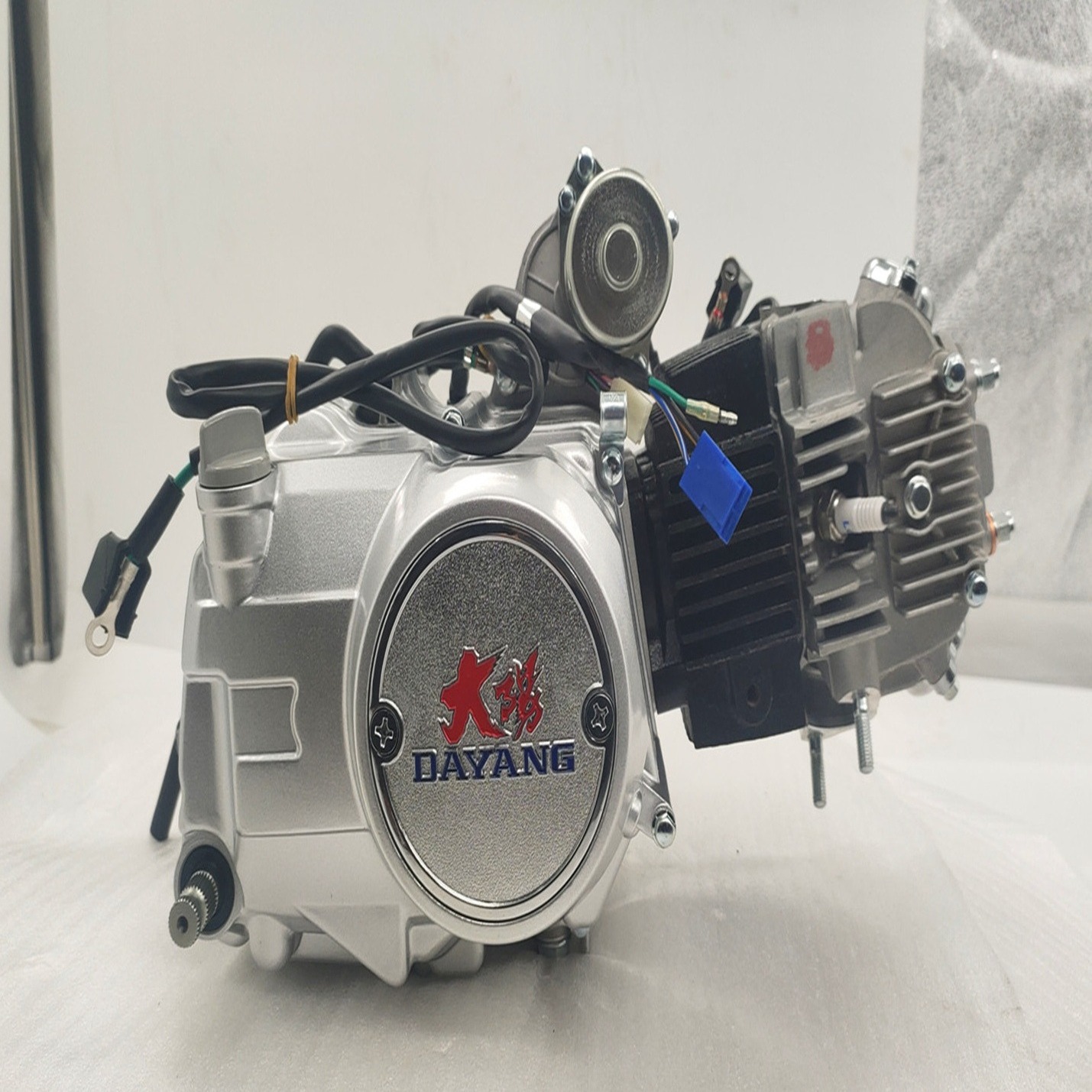 Silver DAYANG LIFAN 125CC Nature AIR-cooled Motorcycle Engine Assembly 3 Wheel Cargo Tricycle Single Cylinder Style Origin