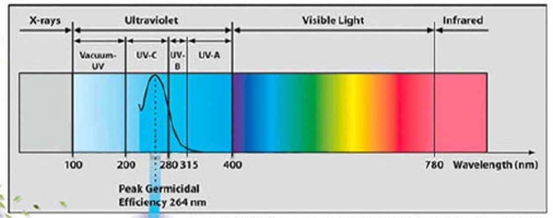 Led Lamp Light Uv Sterilize for Sewage Treatment Toilet Hotel Food Workshop