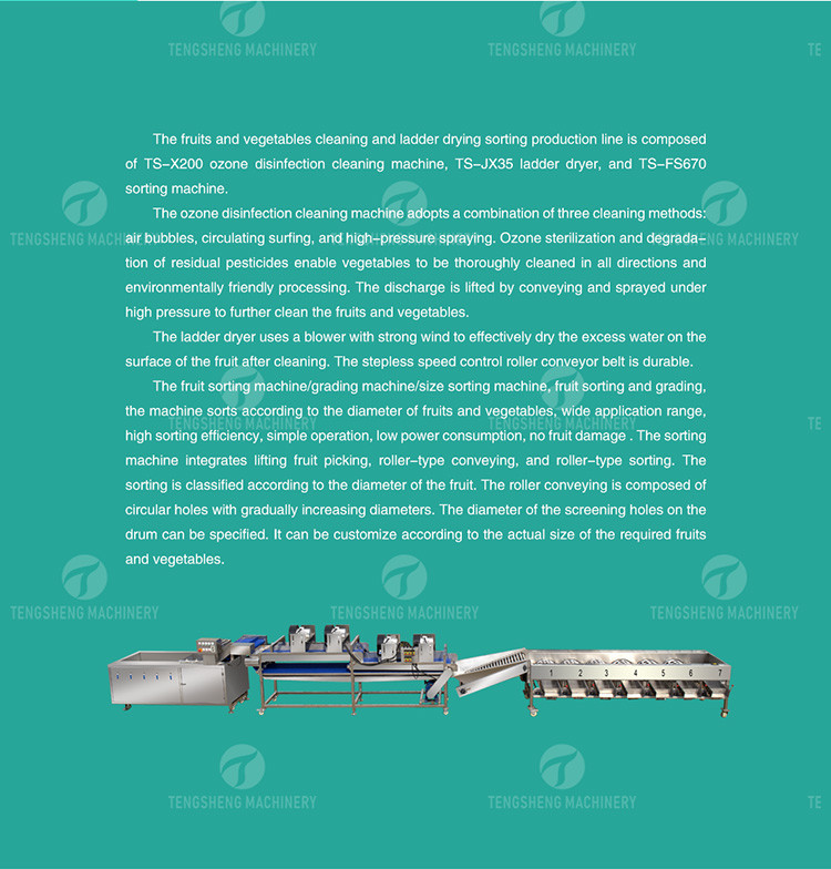 Drying Sorting Circulating Surfing Fruit And Vegetable Processing Line Apple Tengsheng