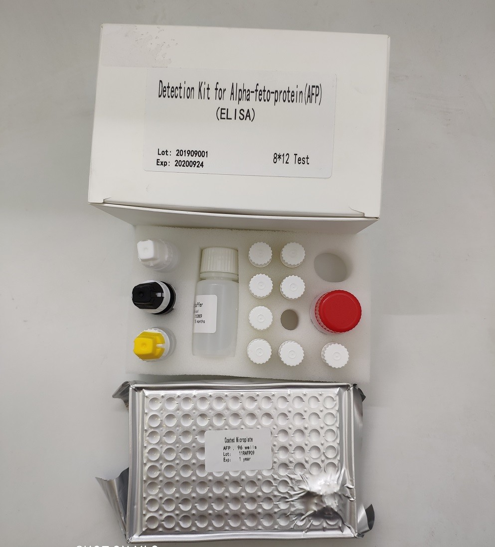 96 Hbsag Diagnostic Human Elisa Kit High Accurate