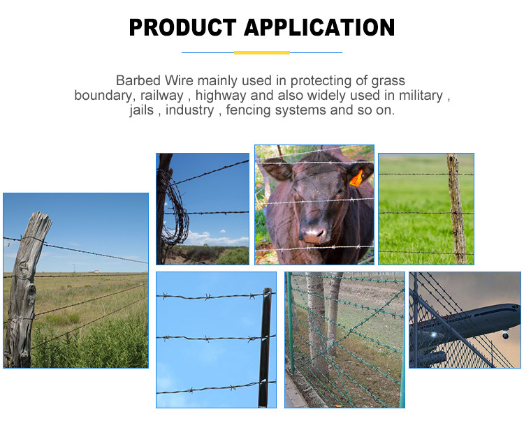 BWG16 Barbed Iron Wire Price Per Roll 14 Gauge Hot Dipped Galvanized Barb Wire Roll