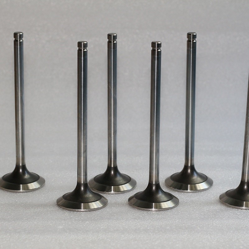Z22 Z24 Intake Valve Exhaust Valve For NISSAN 13201-N8501 13202-N8500