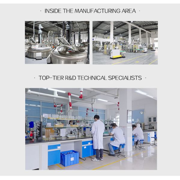 500ml Air Conditioner Cleaner Odor Elimination For All Car Models Water Based Formula