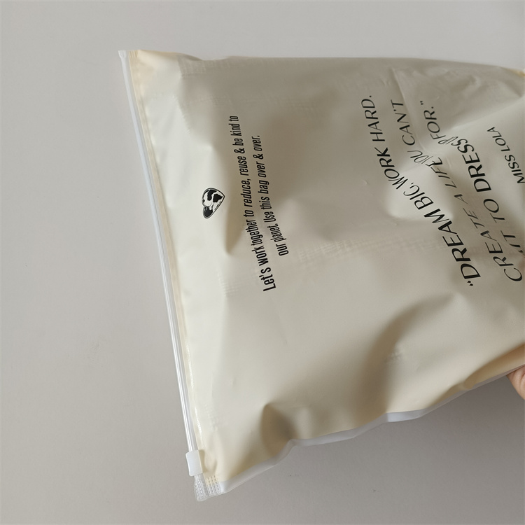 Gravure Printing Zipper Plastic Bag for Garment Packaging Custom Logo and Waterproof