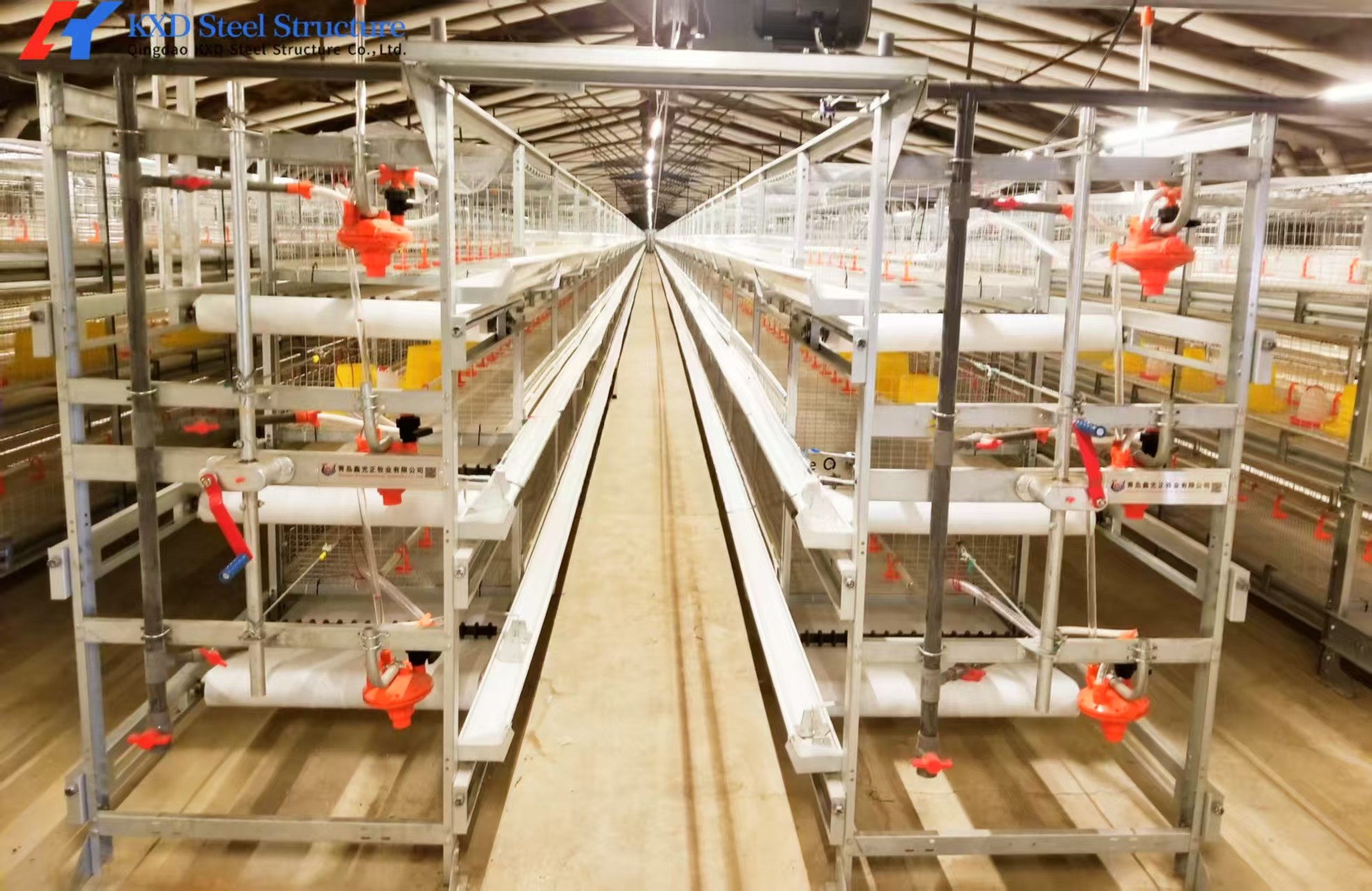 Automatic Broiler Poultry Farming Equipment Galvanized H Type Battery Chicken Cages