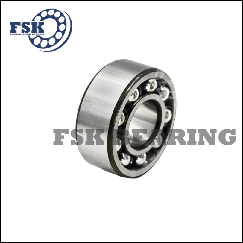 Miniature Size 129 TN9 1200 ETN9 2200 E 2RS1TN9 Self Aligning Ball Bearings Double Row
