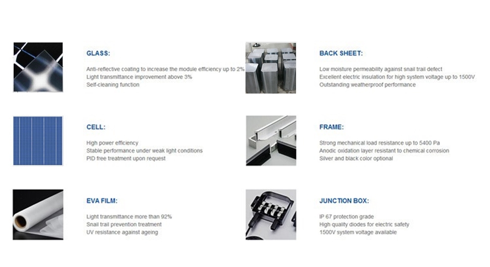 320W Poly Solar Panel Power for Green Energy