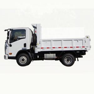 C NJ 4X2 Dump Truck