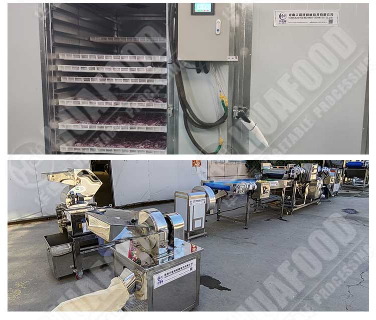 Lotus Root Spray Dried Ginger Powder Machine Dezhou