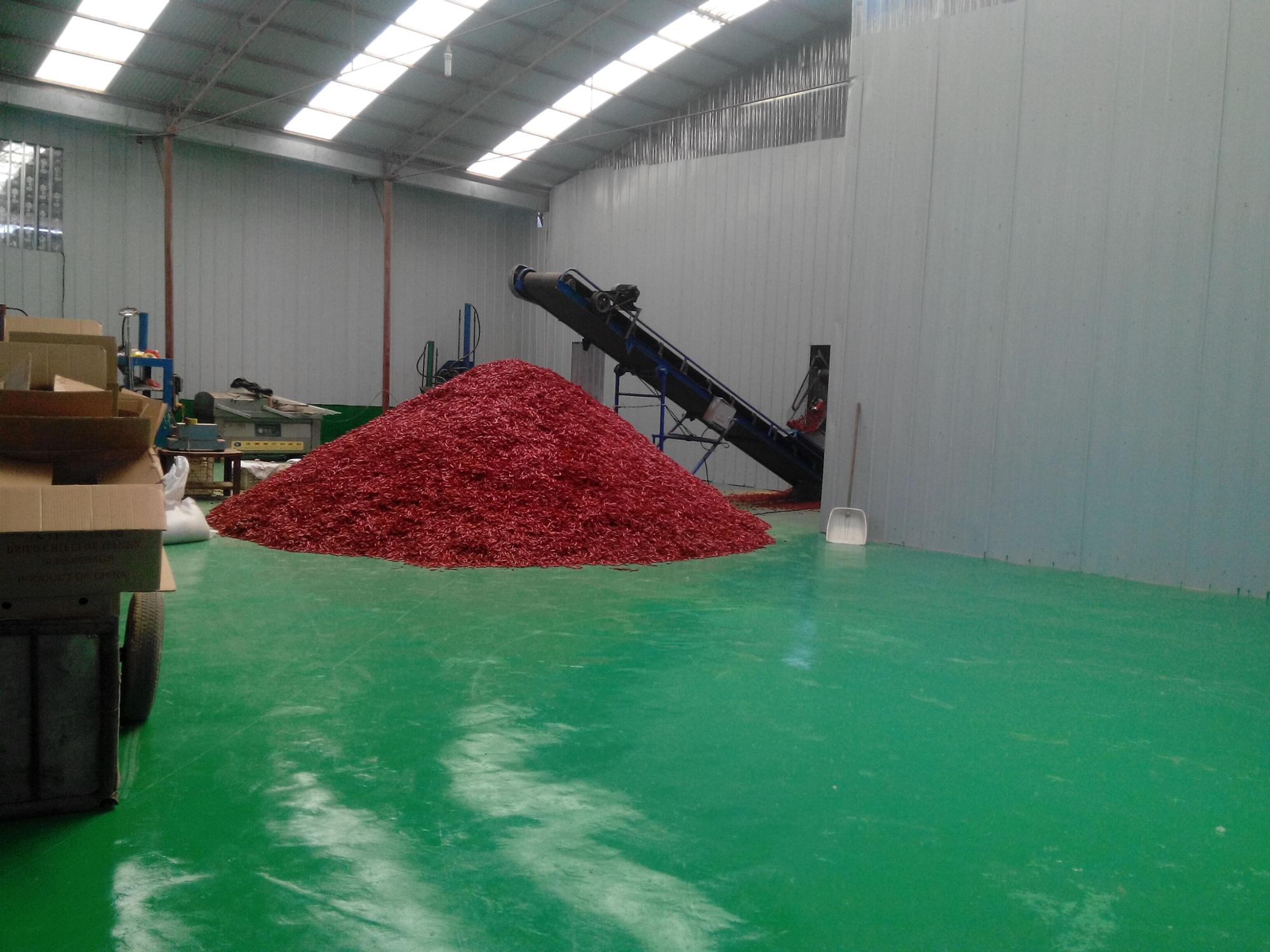 Low price wholesale sweet Yidu chilli pepper