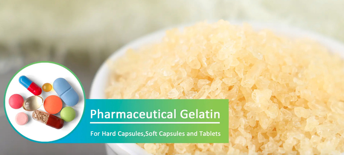 Pharma Gelatin In Medicine Islam 140-160 Bloom Gelatin For Muslim