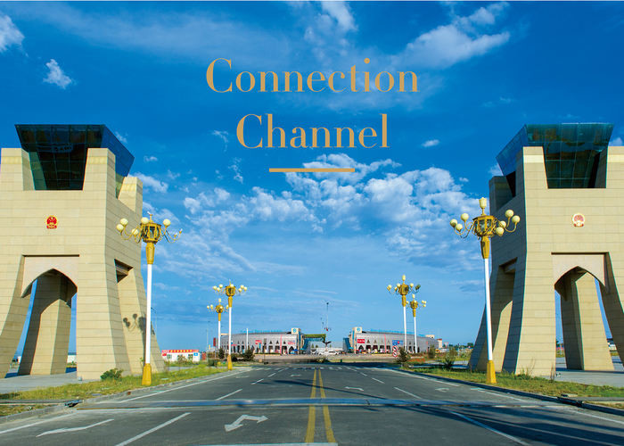 Quick Airport Custom Clearance Bags And Suitcases Import Entry Declaration