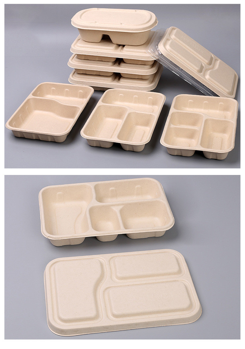 School Lunch Biodegradable Sugarcane Plates Disposable