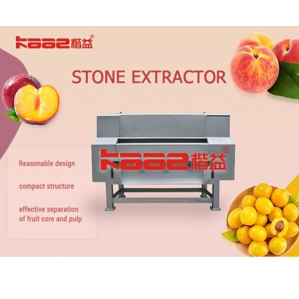 Commercial Use Fruit Stone Coring Seed Removing Processing Machine