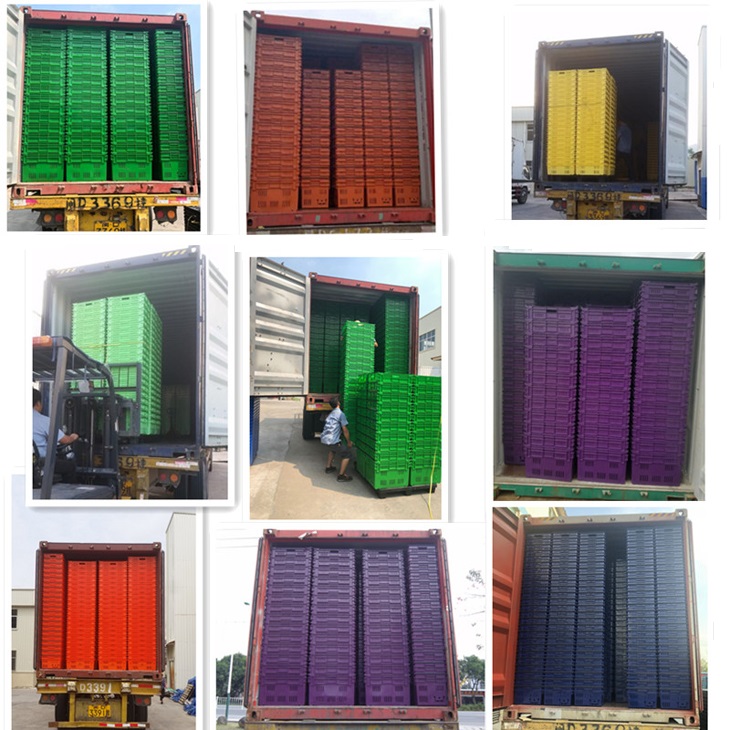 Foldable PP Plastic Injection Mold Crate for Convenient and Easy Handling of Produce