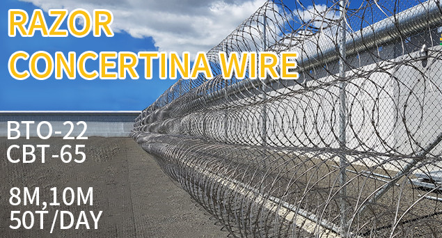 Clips Hot Dip Galvanized Razor Barbed Wire For Anti Piracy Security Fence