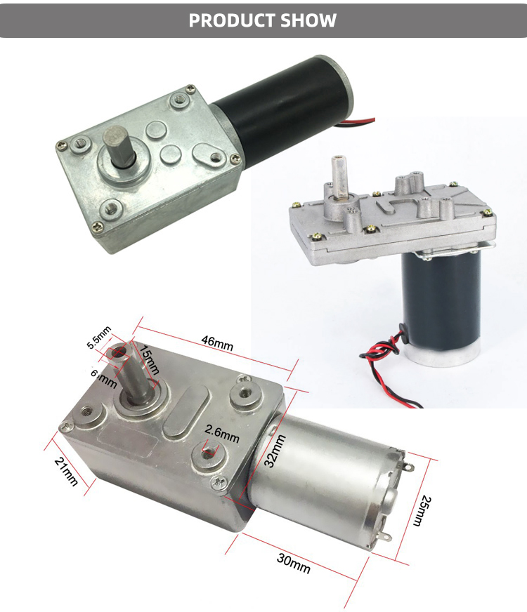 Faradyi Hot Sale Micro Mini 12v 24V Low Speed High Torque Dc Motor With Worm Direct Gear