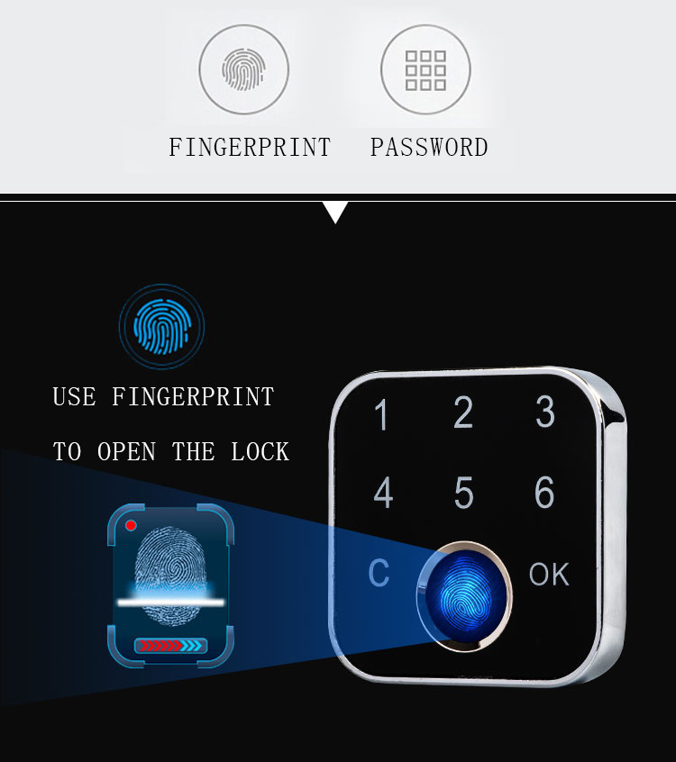 Grow G16 Password Fingerprint Cabinet Lock for Home Office