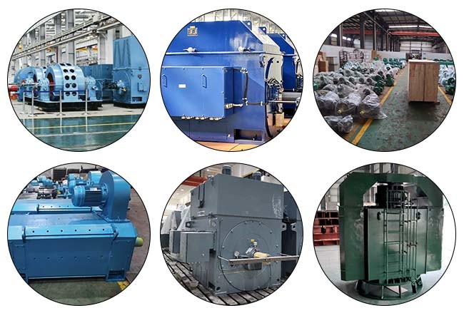 IP55 Rated AC Synchronous Motor with 4 Poles and IEC Standard Mining