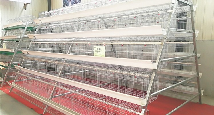 Poultry Chicken Layer Cage ODM Pvc Feed Trough