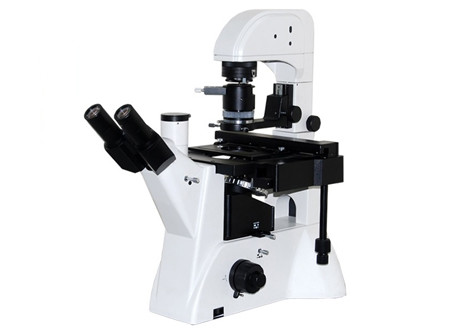 Trinocular DIC Science Lab Microscope Quality WF10X/22mm 5W LED