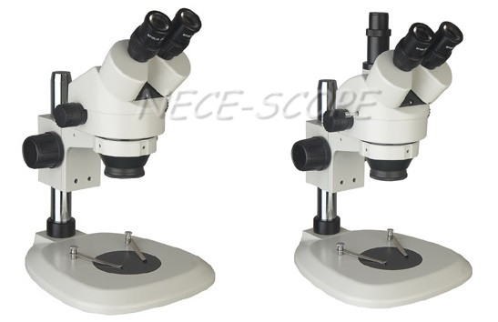 Interpupillary Digital Stereo Microscope , Dissecting Microscope With Camera 55 - 75mm