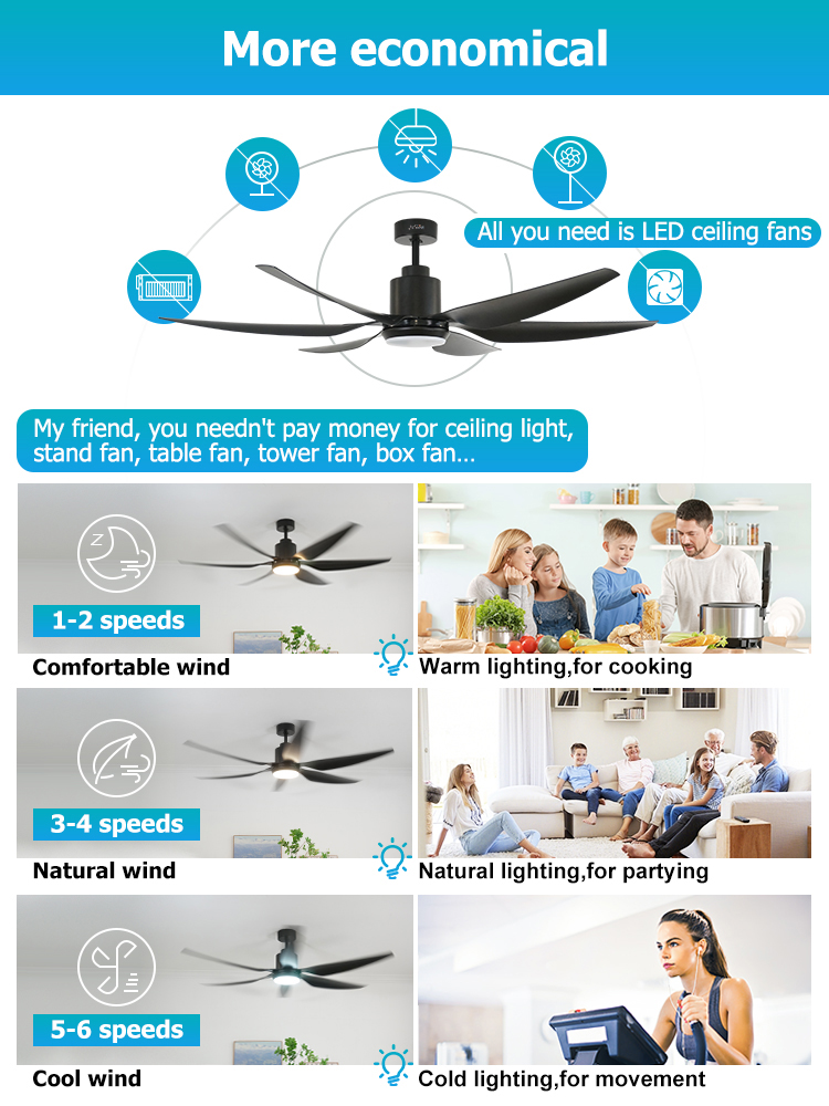 66 Inches Black Ceiling Fan Office Smart Design with LED Light and 10- from 1stshine