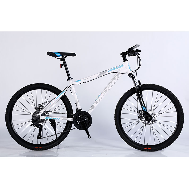 Sport Bike Customized Color Logo Customized Logo Cycle Mountain Bike