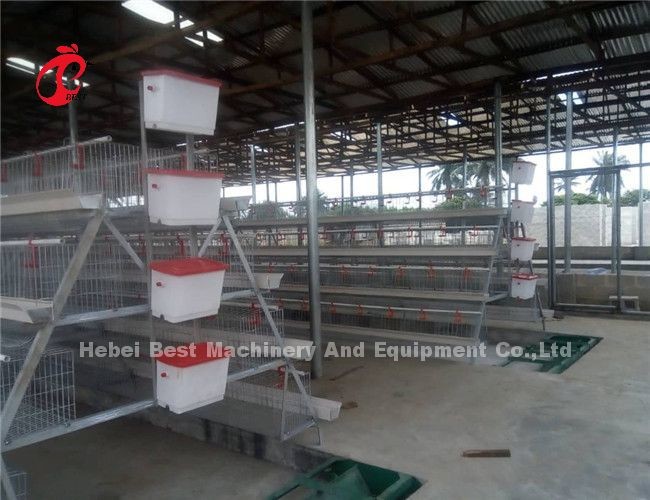Automatic Drinker Feeder Poultry Chicken Cages 10000 Egg Layer Ada