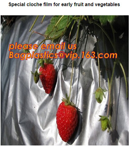 0.1mm 0.12mm 0.15mm 0.18mm 0.2mm 0.25mm hydroponic agriculture white/black panda opaque polyethylene PE film BAGPLASTICS