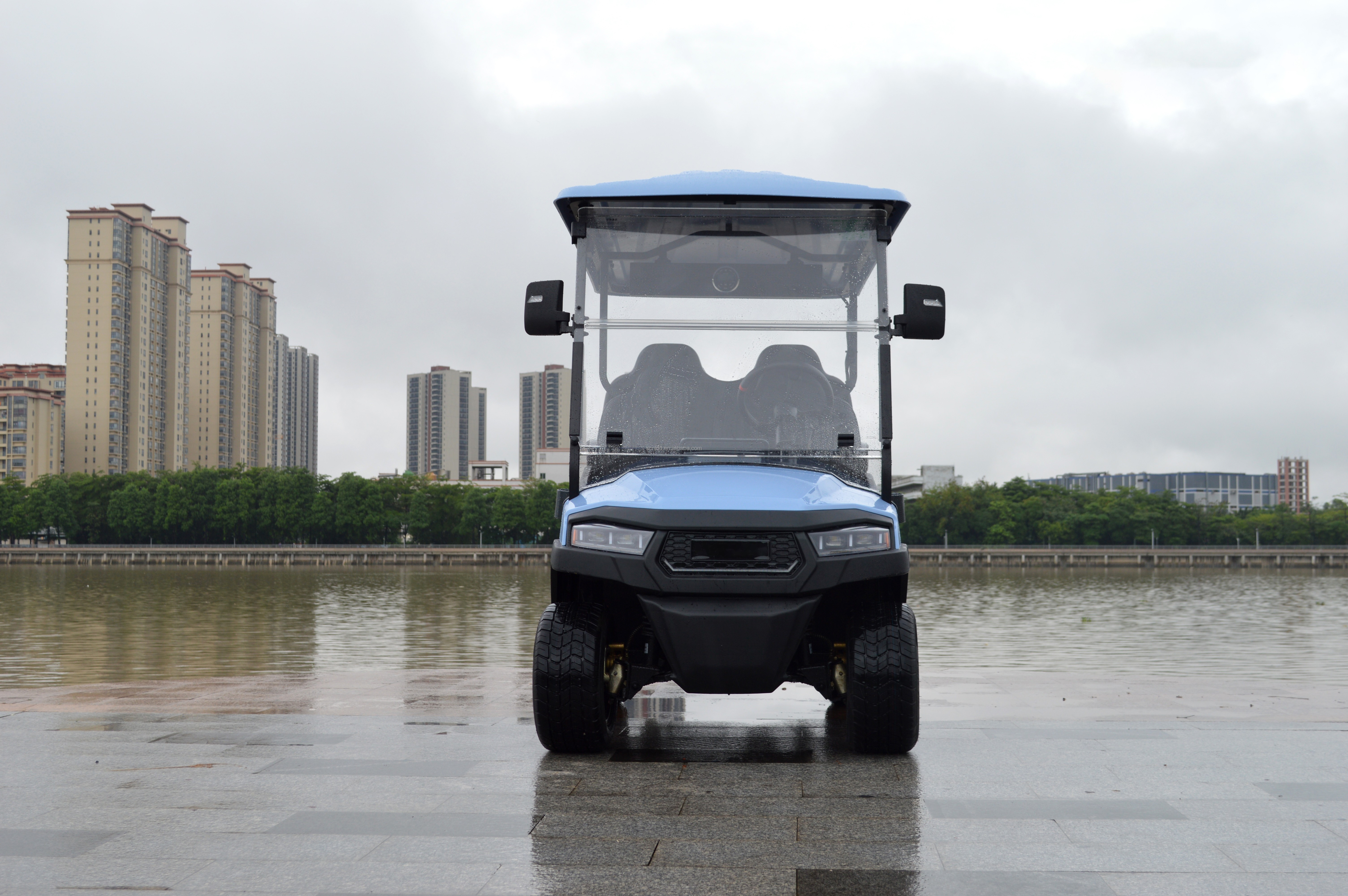 2 4 6 Seat Electric Lithium Battery Sightseeing Golf Cart Golf Buggy Car with DOT Comfortable and Spacious