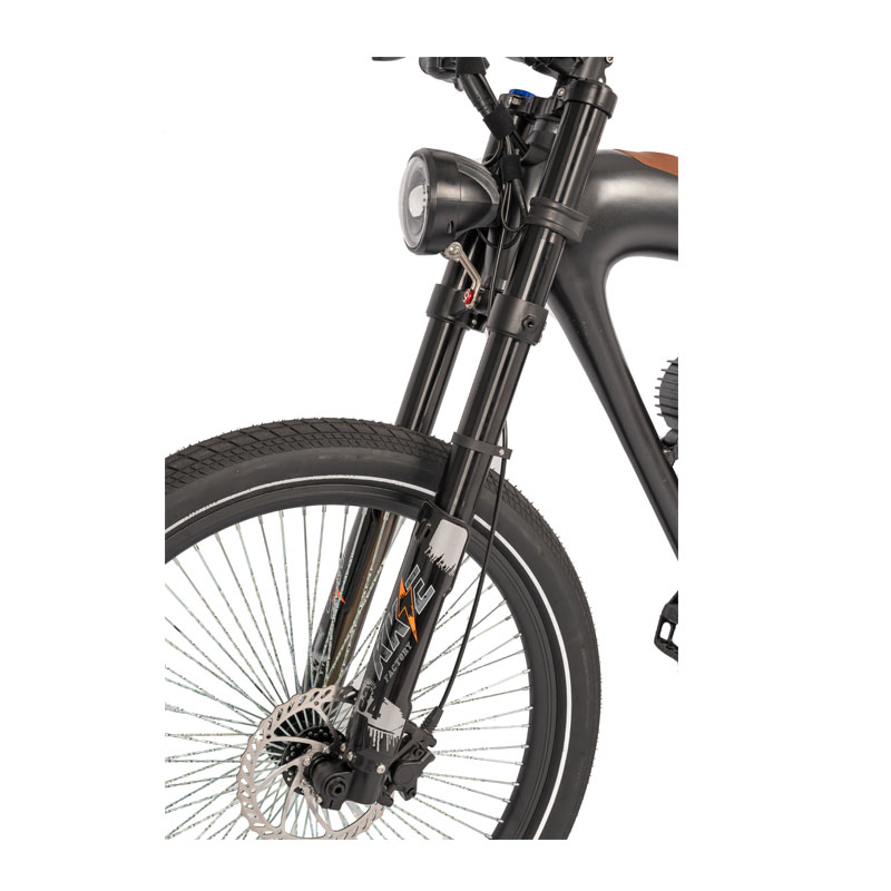Customized Moto Bicycle Beach Cruiser for 2024 15AH Battery Capacity Brushless Motor