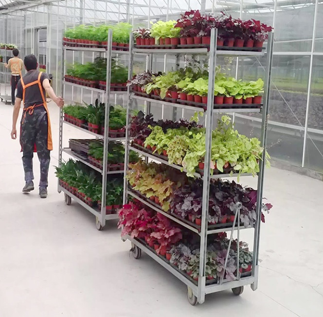 Danish Flower Trolley Hot Galvanized Danish Flower Trolley Display Rack Flower Trolley Shelf From QingDao Supplier