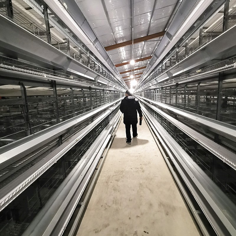 Hot Galvanized 3/4/5 Tiers Chicken Layer / Broiler Cage For Poultry Farm
