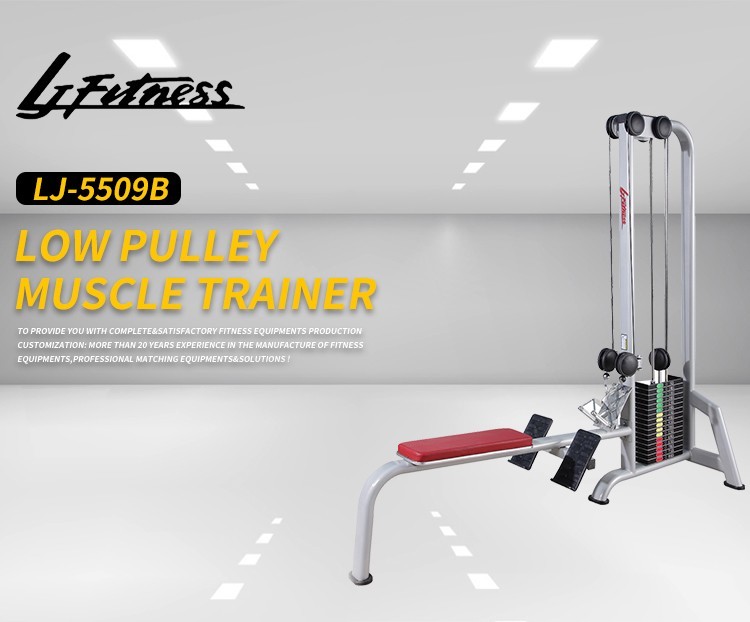 Home Gym Life Fitness Strength Equipment , Oval Tube Low Pulley Machine